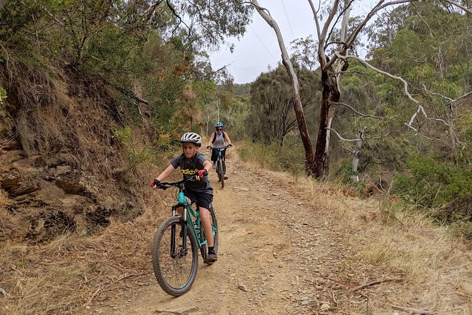 Mount Lofty Descent Bike Tour from Adelaide - Is the $128 price good value?