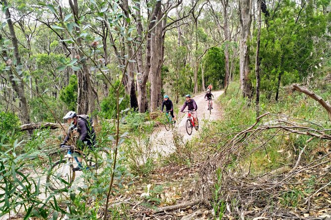 Mount Lofty Descent Bike Tour from Adelaide - Who should book this ride?