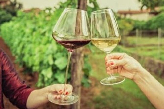 Mount Tamborine Deluxe Wine Tasting with Two Course Lunch - Cedar Creek Estate Winery and a shorter tasting
