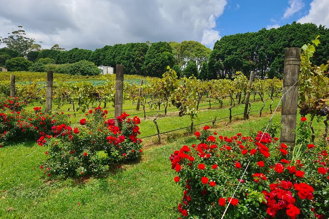 Mount Tamborine Wine Tasting Tour from Brisbane or the Gold Coast - Who should book this Mt. Tamborine tour?