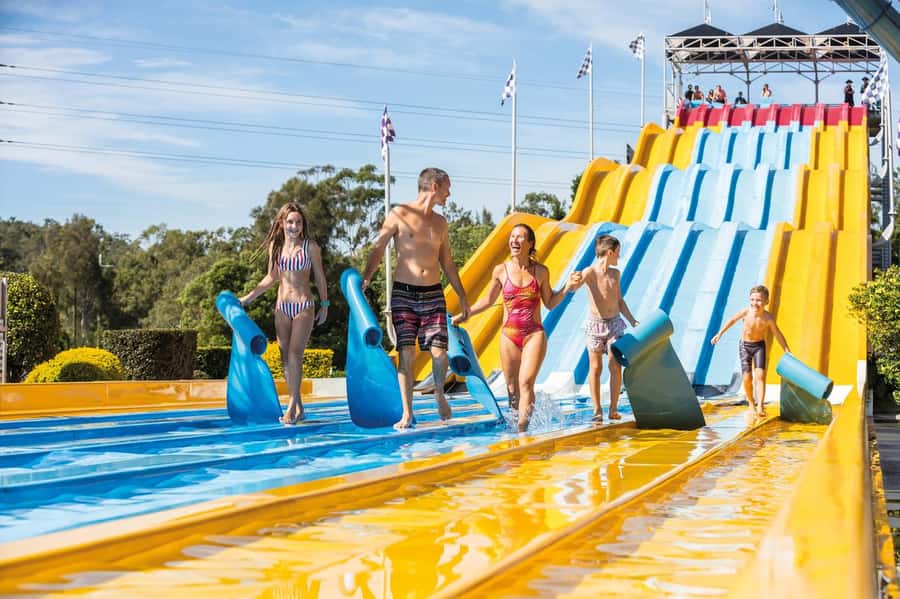 Movie World, Sea World, Wet’n’Wild & More - 5 Day Pass - Sea World: marine life, shows and a slower pace