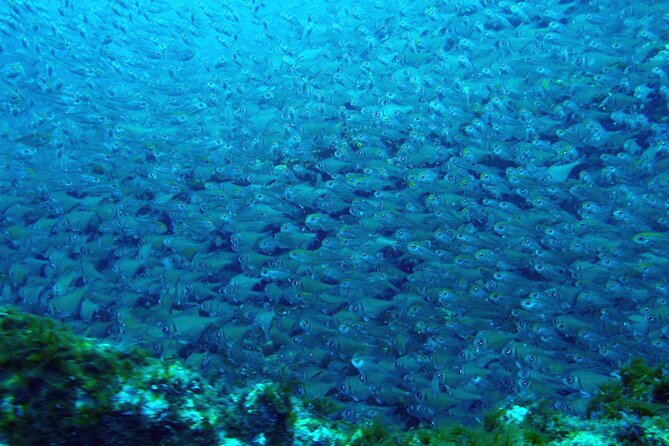 Muiron Islands Snorkeling in Exmouth - Lunch keeps the long day comfortable