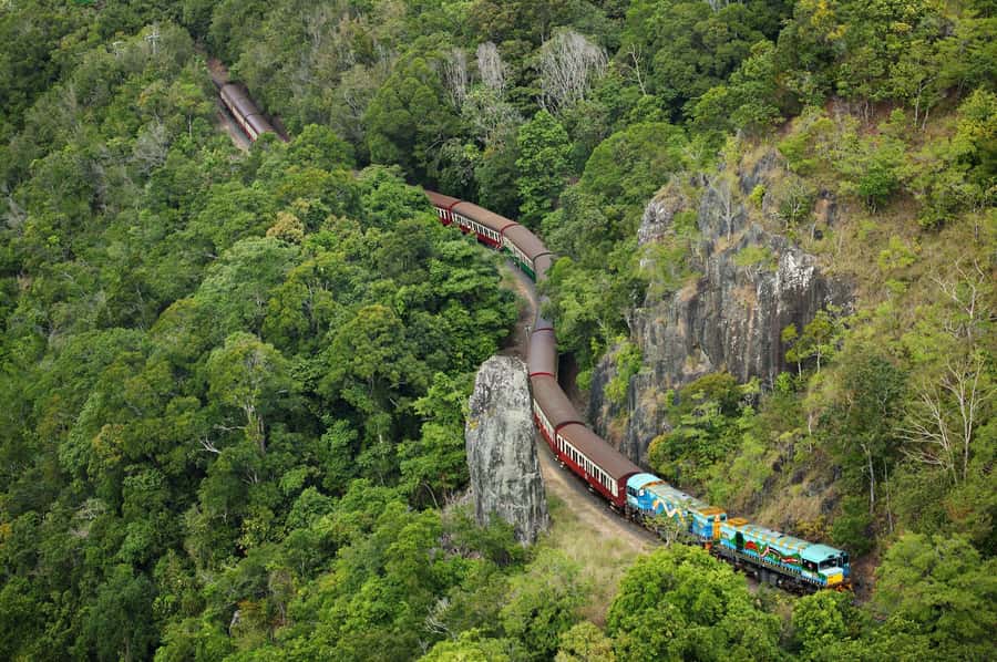 N. Queensland: Kuranda Rainforest Full-Day Tour - From Cairns to the Kuranda hills