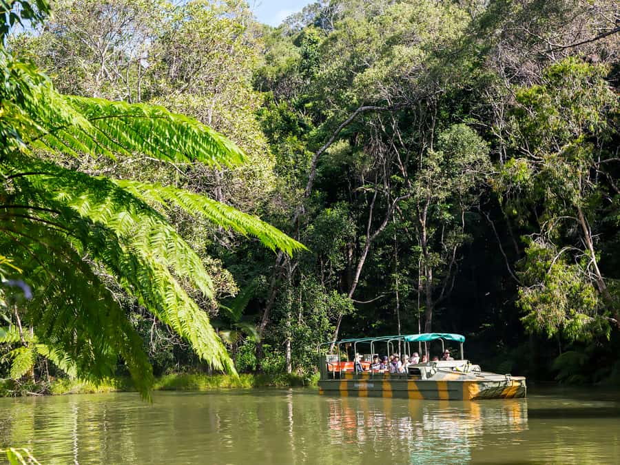 N. Queensland: Kuranda Rainforest Full-Day Tour - The Kuranda Scenic Railway brings the hills to life