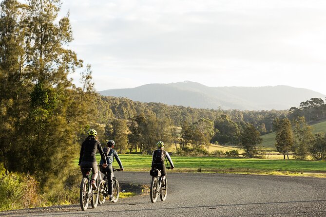Narooma - E-Bike Hire 2 Hour Rental - Bar Beach marshes and easy bird spotting