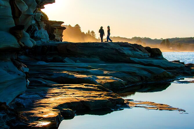 Nature and Wildlife: Australia in One Day - Private Tour - Beaches, Avoca lunch, and the Central Coast feel