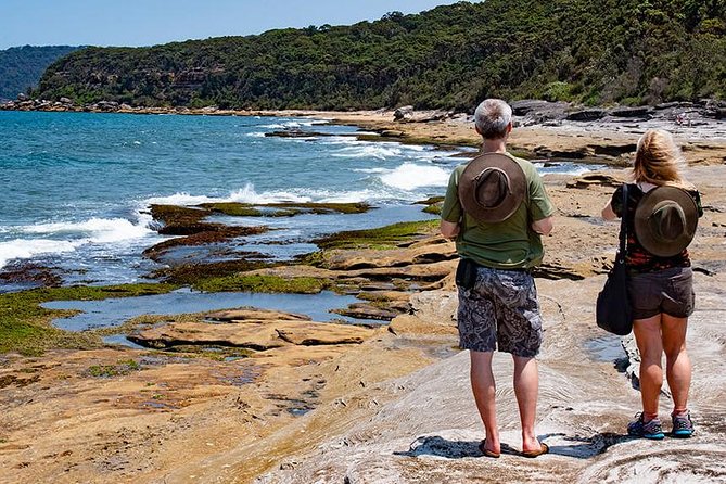Nature and Wildlife: Australia in One Day - Private Tour - A short bush walk in Berowra Valley