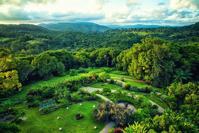 Near Gold Coast: Crystal Castle Admission Ticket - Key points to know before you go