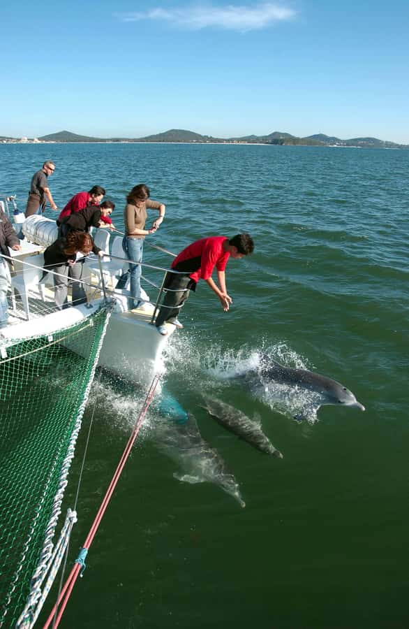 Nelson Bay: Dolphin Watch Cruise and Sail - Sailing out from d’Albora Marina Nelson Bay