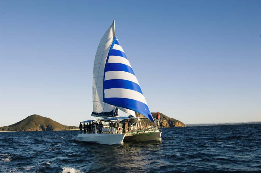 Nelson Bay: Dolphin Watch Cruise and Sail - The bow net and boom net choices