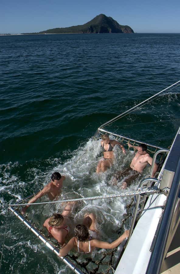 Nelson Bay: Dolphin Watch Cruise and Sail - What the $35 price really includes