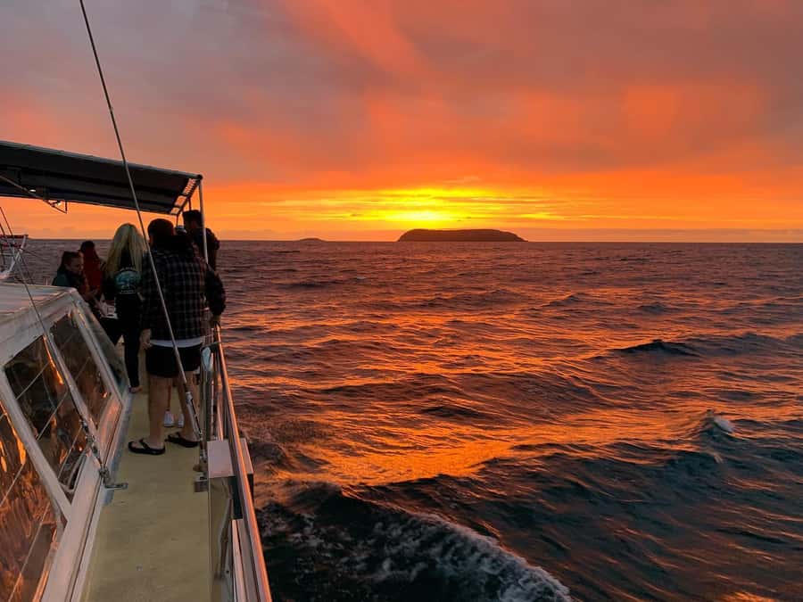 Nelson Bay: Whale and Dolphin Watching Catamaran Cruise - A catamaran built for comfort, not speed