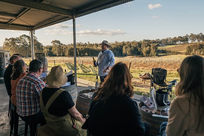 Newcastle: Boutique Hunter Valley Wine Tour - Hunter Wine Lab and the food pairing
