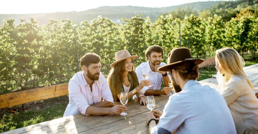 Newcastle: Boutique Hunter Valley Wine Tour - What the small group changes