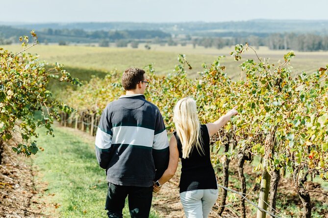 Newcastle: Boutique Hunter Valley Wine Tour - From Newcastle to the vines