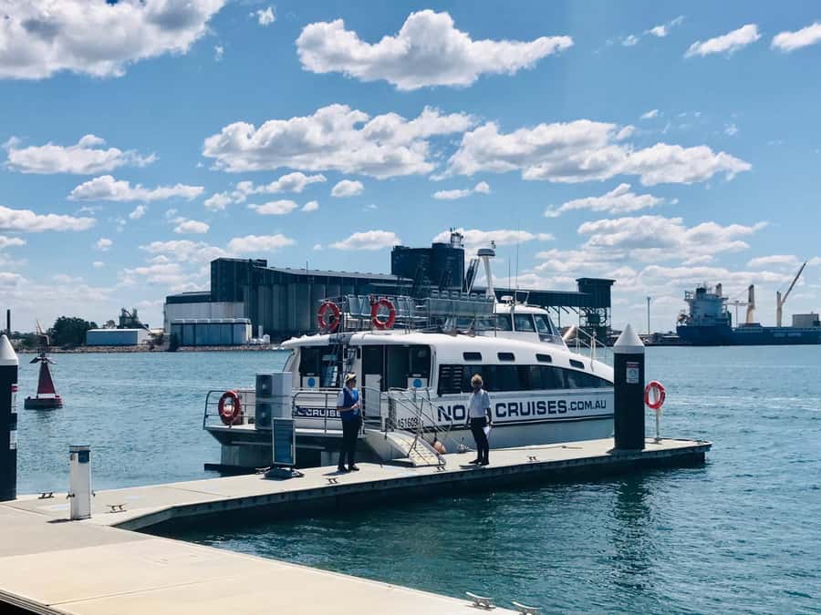 Newcastle: Humpback Whale Watching Cruise and Harbor Tour - Who Will Enjoy This Cruise Most