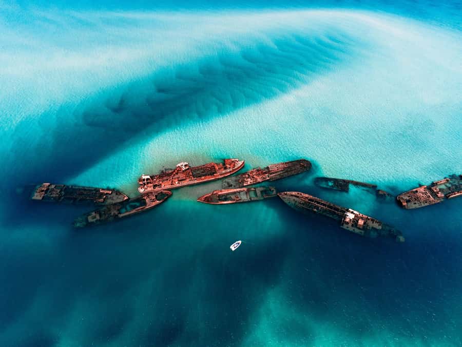 Newport: Moreton Island Snorkeling Tour with Lunch - Key details before you book