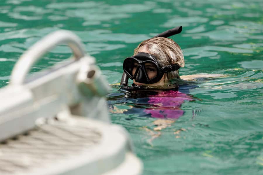 Newport: Moreton Island Snorkeling Tour with Lunch - What the $131 price really covers
