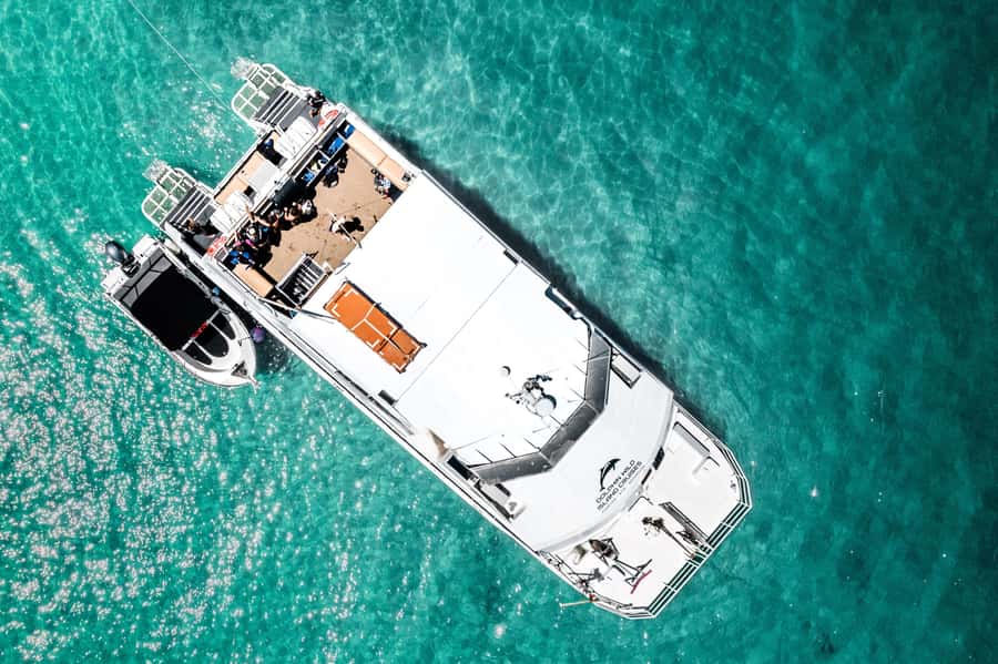 Newport: Moreton Island Snorkeling Tour with Lunch - Who will enjoy this Moreton Island outing
