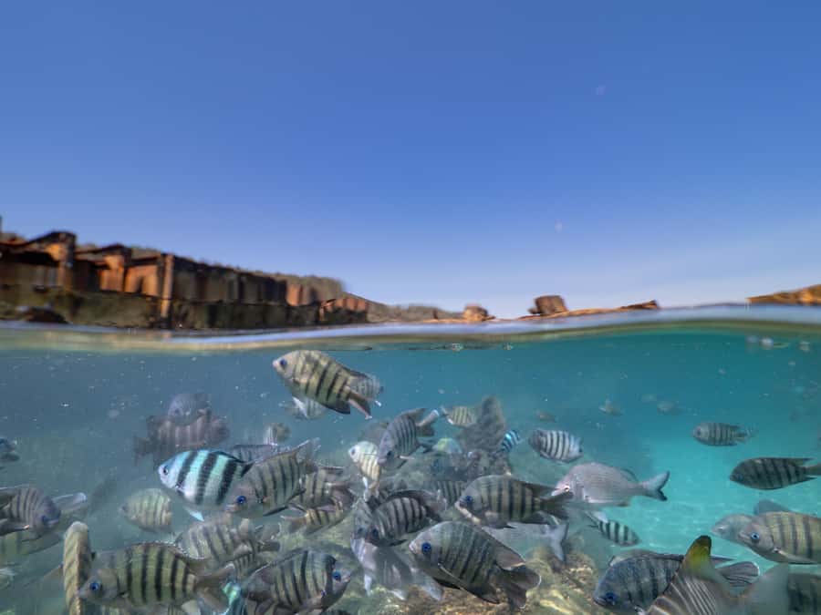 Newport: Moreton Island Snorkeling Tour with Lunch - Boarding the Supercat between docks C and D