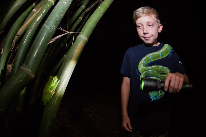Night Walk in Cairns Botanic Gardens - Let's Go Buggin - Choosing your camera, or bringing your own