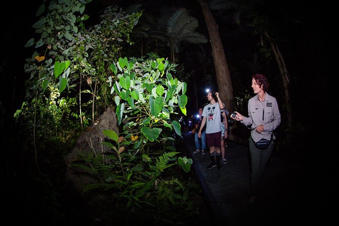 Night Walk in Cairns Botanic Gardens - Let's Go Buggin - How the experience feels for families and mixed skill levels