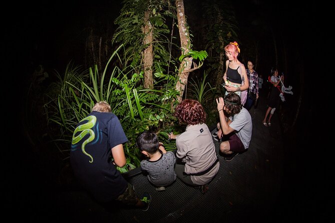 Night Walk in Cairns Botanic Gardens - Let's Go Buggin - What is included and what you should plan for