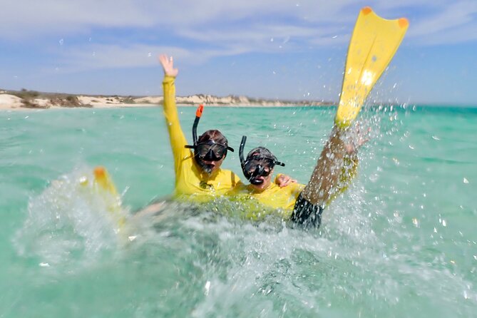 Ningaloo Reef Snorkel Adventure - What the guide adds to the water time