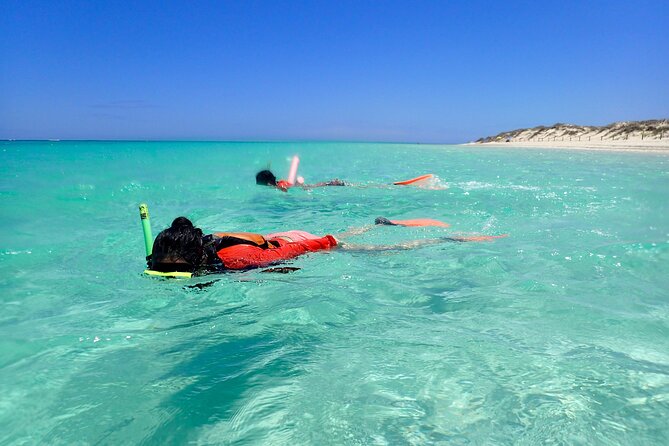 Ningaloo Reef Snorkel Adventure - Who should book this experience
