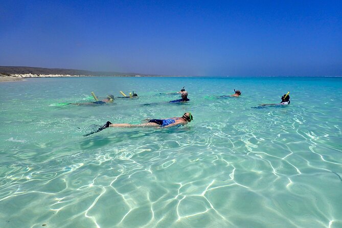 Ningaloo Reef Snorkel Adventure - Turquoise Bay: the first major snorkel