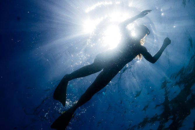 Ningaloo Reef Snorkel and Wildlife Adventure - Key things to know before booking