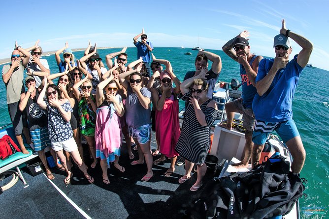 Ningaloo Reef Snorkel and Wildlife Adventure - How the guides handle beginners and nervous swimmers