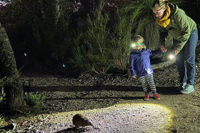 Nocturnal Wildlife Tour from Busselton - Why the woylie makes this evening special