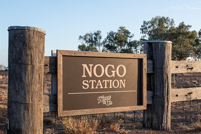 Nogo Station Experience - Why this morning tells the Longreach story well