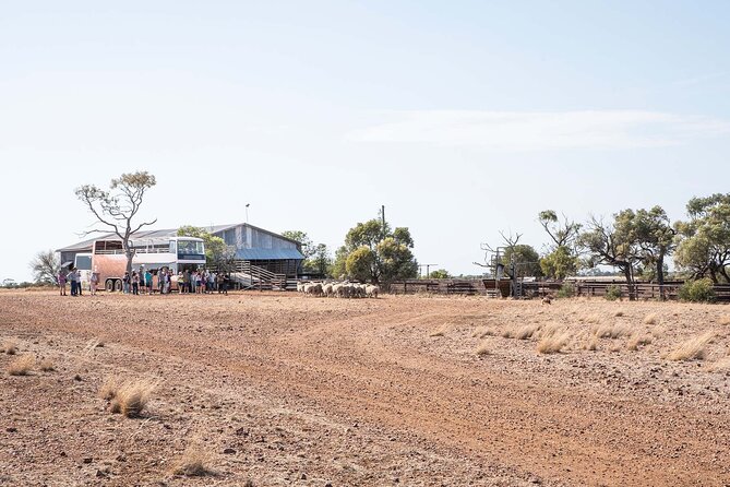 Nogo Station Experience - The open-top bus crosses working country