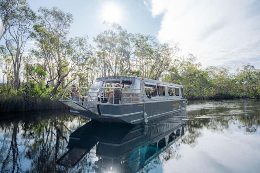 Noosa: Afternoon Cruise through the Noosa Everglades - Wildlife spotting without false promises