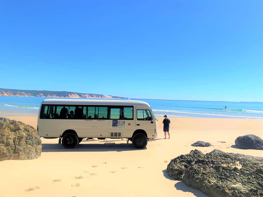 Noosa: Epic Ocean Kayak with Dolphins & 4WD Beach Adventure - Who should book this outing?