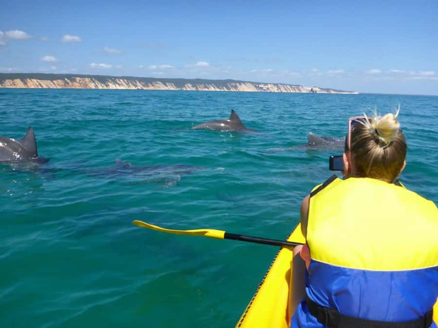 Noosa: Epic Ocean Kayak with Dolphins & 4WD Beach Adventure - Why this Noosa adventure works so well
