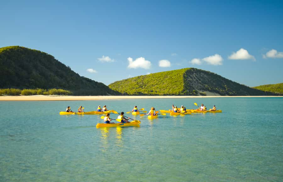 Noosa: Epic Ocean Kayak with Dolphins & 4WD Beach Adventure - What you may see from the kayak