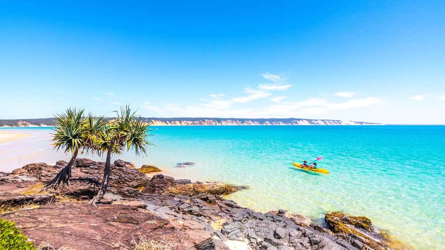 Noosa: Epic Ocean Kayak with Dolphins & 4WD Beach Adventure - What to bring, and what you will receive