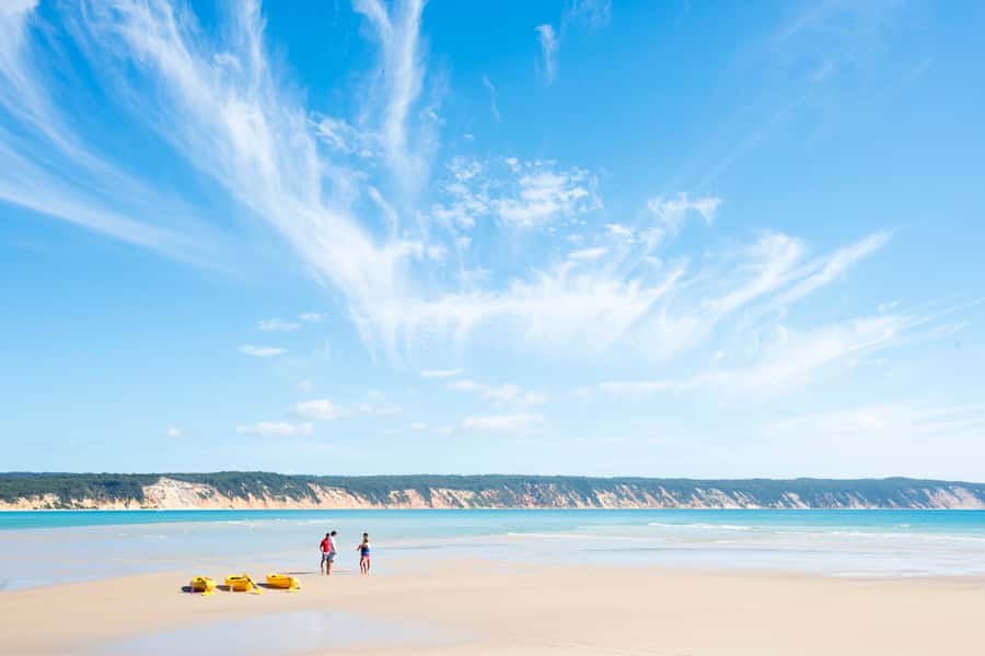 Noosa: Epic Ocean Kayak with Dolphins & 4WD Beach Adventure - Is $118 good value?