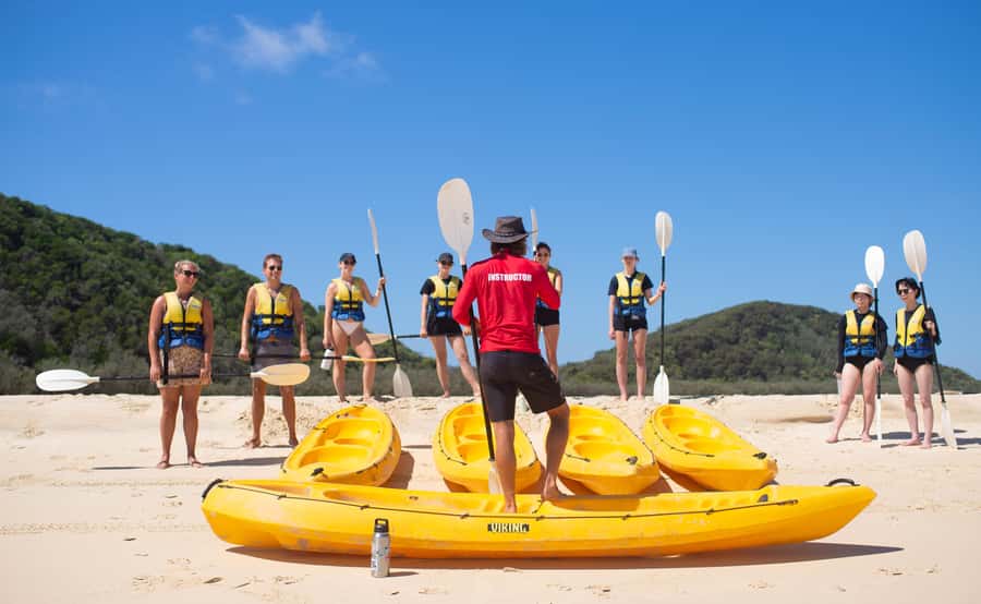 Noosa: Epic Ocean Kayak with Dolphins & 4WD Beach Adventure - From The J Noosa to the North Shore ferry