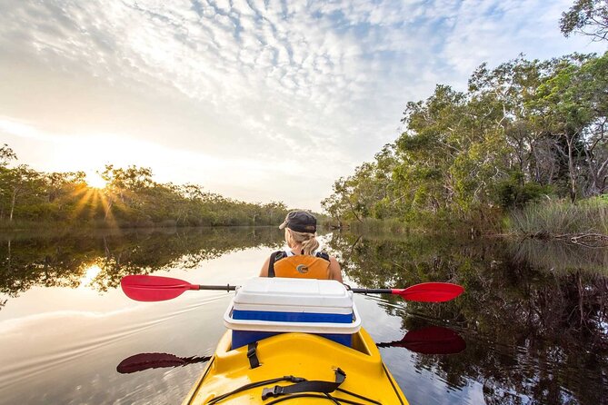 Noosa Everglade Kayak -South/Noosa End - Searching for Stingrays! - The scenery is peaceful, but conditions matter