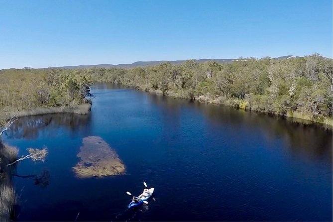 Noosa Everglade Kayak -South/Noosa End - Searching for Stingrays! - The guides are a major part of the value