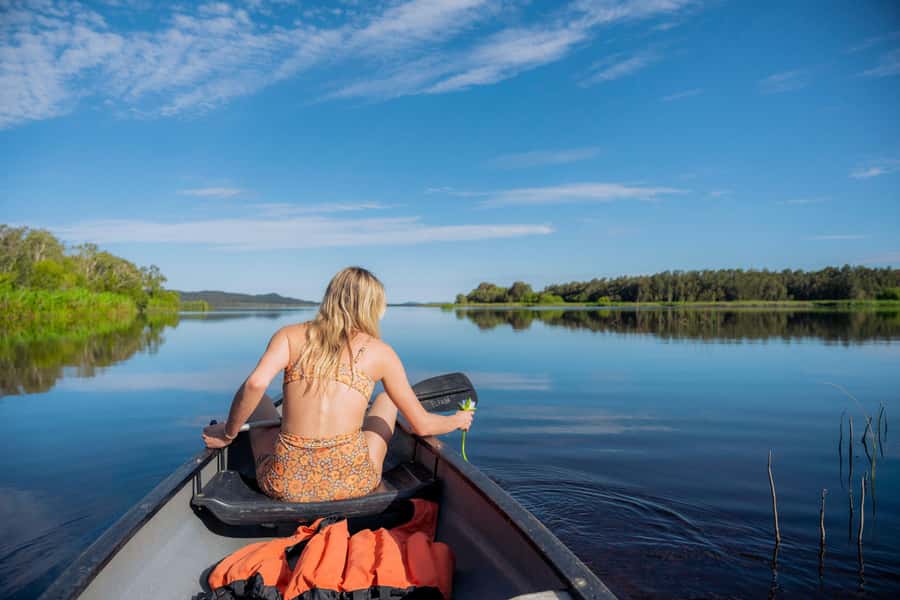Noosa: Everglades Explorer Cruise - Key points to know before you book