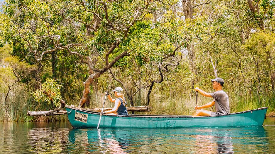 Noosa: Everglades Explorer Cruise - Why Noosa’s Everglades are worth your time