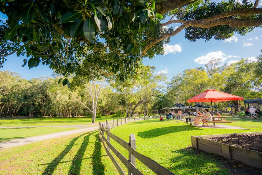 Noosa: Everglades Explorer Cruise - What the guides add