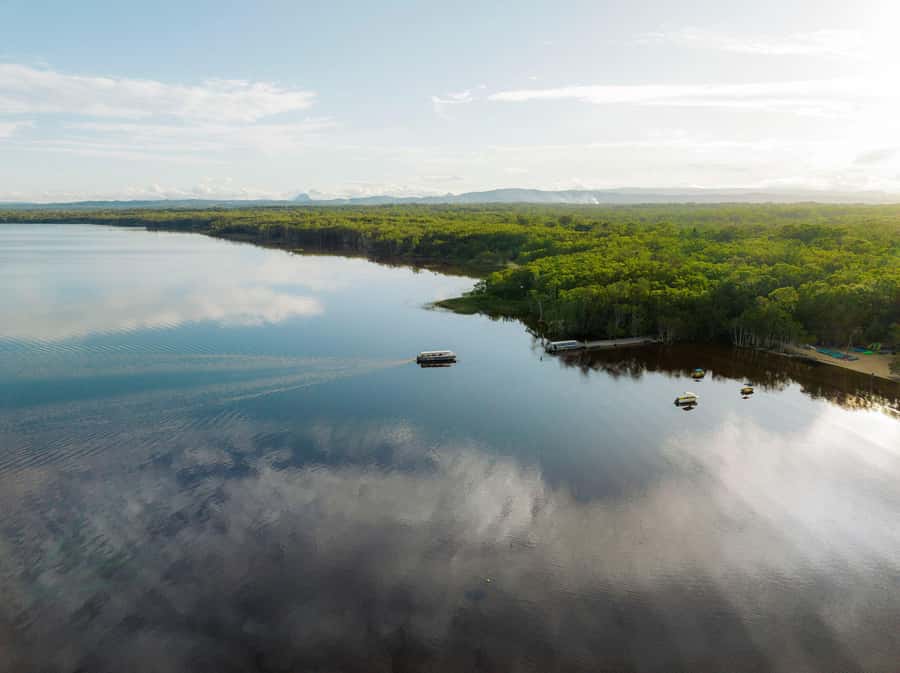 Noosa: Everglades Explorer Cruise - Who should book this outing?