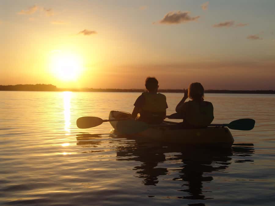 Noosa Heads: Hidden Waterways Wildlife Kayak (Self-Guided) - Price, preparation, and practical fit