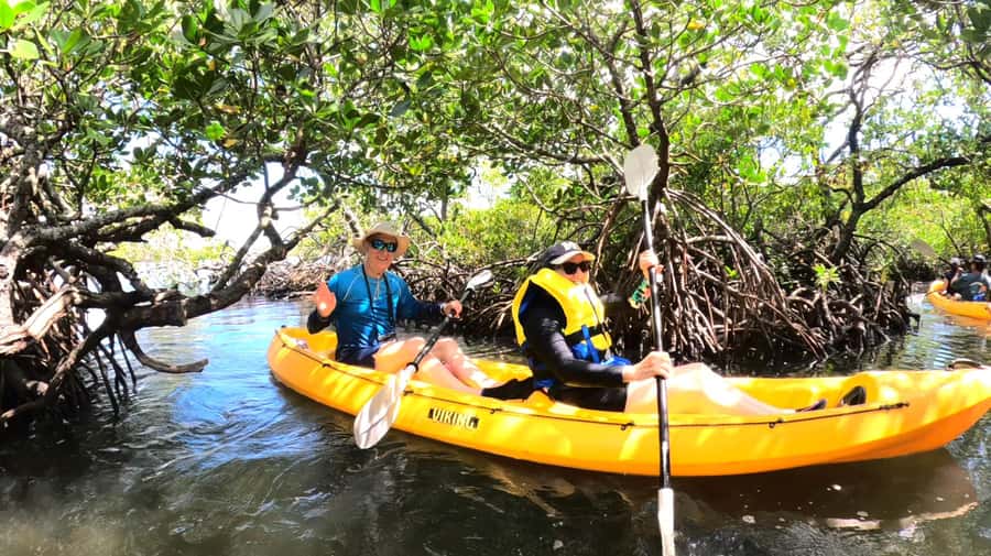 Noosa Heads: Hidden Waterways Wildlife Kayak (Self-Guided) - What happens before you launch